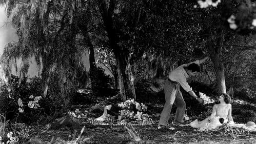 Die Kameliendame Bild 1