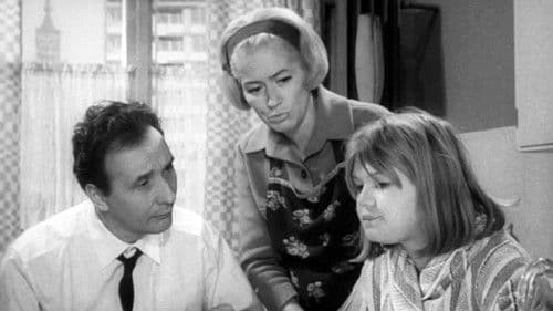 Meine Nachbarn – Deine Nachbarn Bild 1