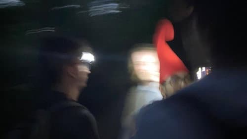 Gnome Hunting Found Footage Bild 1