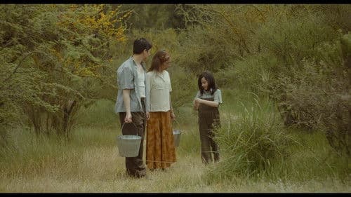 Días de Verano Bild 1