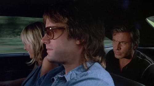 Kesse Mary - Irrer Larry Bild 5