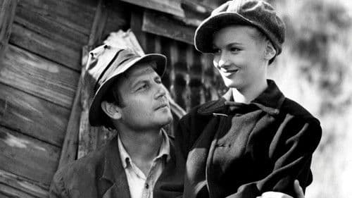 Sullivans Reisen Bild 1