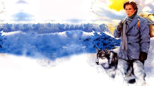 Wolfsblut Bild 8