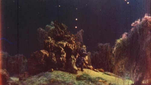 История одной странной дружбы Bild 3