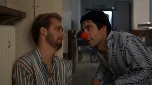 Hawks - Die Falken Bild 1