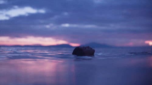 Las flores de la noche Bild 1