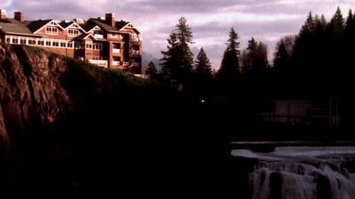 ツイン・ピークス・ビジュアル・サウンドトラック Bild 3