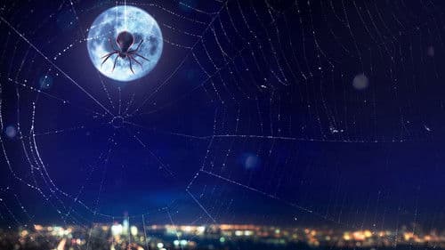 Inside Spider-Man Bild 2