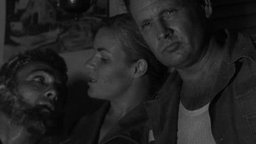 The Nest of the Cuckoo Birds Bild 1