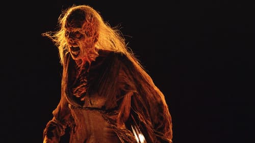 Der Fluch von Darkness Falls Bild 4