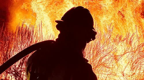 Cal Fire Bild 5