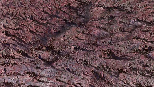 მიტოვებული სოფელი Bild 1