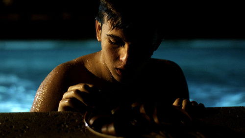 The Violation Bild 2