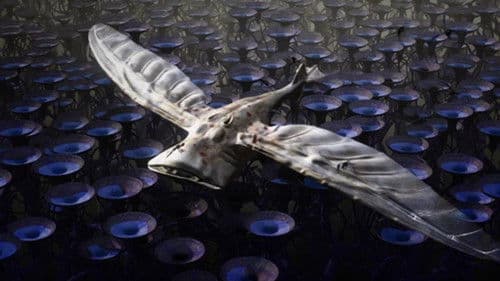 Extraterrestrial Bild 1