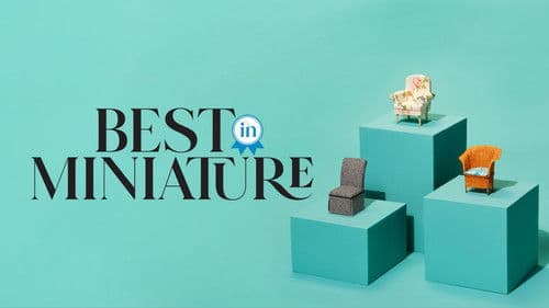 Best In Miniature Bild 2