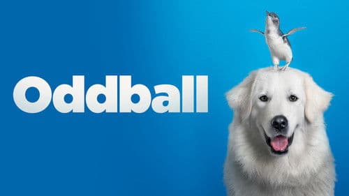 Oddball - Retter der Pinguine Bild 7