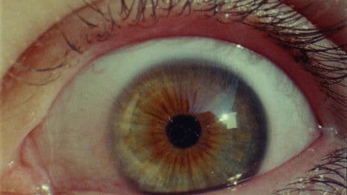 The Last Dinner Party: Prelude to Ecstasy Bild 1