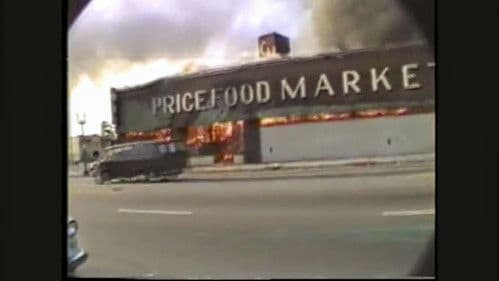 Birth of a Nation: 4.29.92 Bild 2