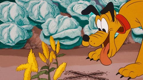 Der Knochendieb Bild 4