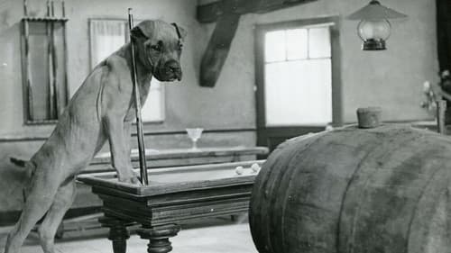 Une fée ... pas comme les autres Bild 1