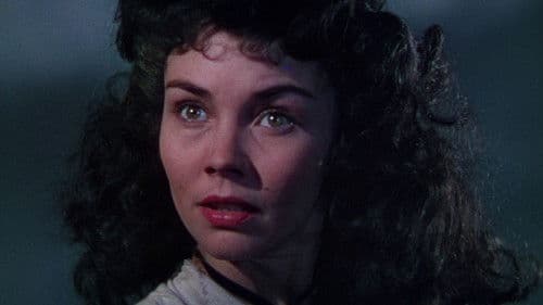 Die schwarze Füchsin Bild 3