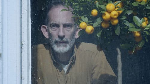 In The Moonlight Bild 1