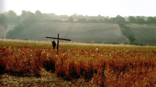 Die Vogelscheuche Bild 6