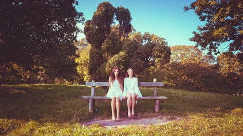 Steven Wilson: 4 ½ Bild 1