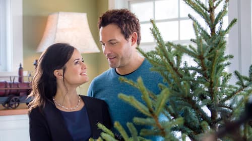 Mein Weihnachtstraum Bild 2