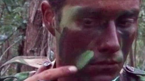 Où en êtes-vous, João Pedro Rodrigues ? Bild 1