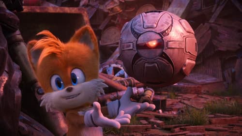 Sonic und die Drohne Bild 8