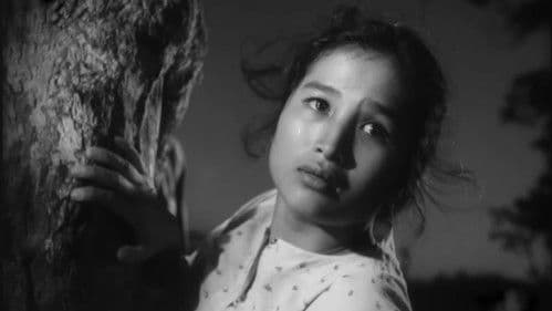 Chị Tư Hậu Bild 2