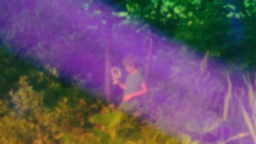 Het dak van de Walvis Bild 2