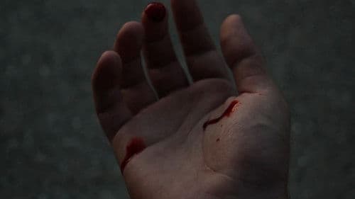 Μακάριοι Αυτοί Που Τον Θεό Εποίησαν Bild 4