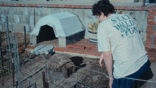 Shell Shocked Bild 1