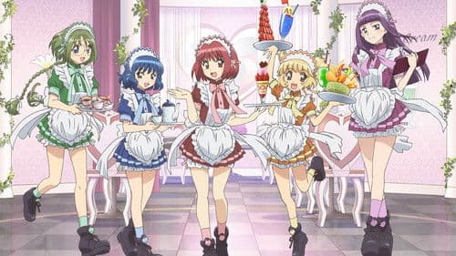 Tokyo Mew Mew New Bild 2