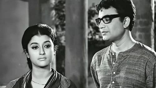 এখানে পিঞ্জর Bild 3