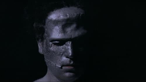 Eine Jungfrau in den Krallen von Frankenstein Bild 8