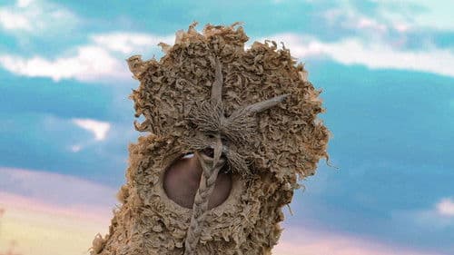 Tërra Bëstia Bild 1