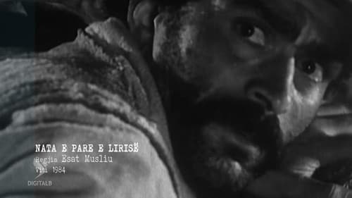 Nata e parë e lirisë Bild 1