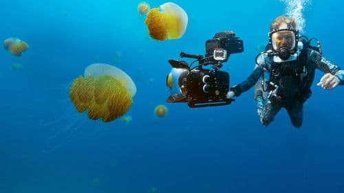 Tiere hautnah mit Bertie Gregory Bild 4