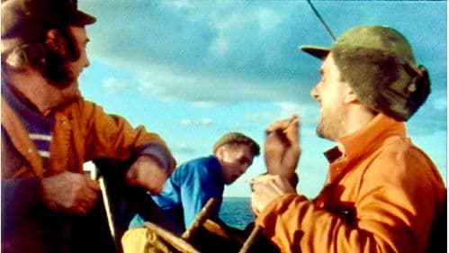 In Fading Light Bild 1