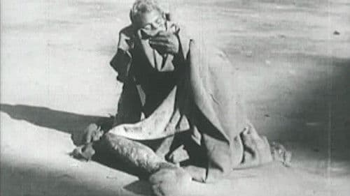 Sinister Harvest Bild 1