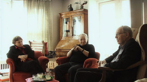 Cinema: A Public Affair Bild 3