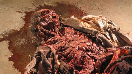 Cryptic Plasm Bild 1