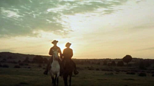 Das Gesetz der Zwei Bild 2