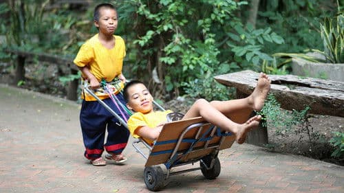 6 Weeks to Mother's Day Bild 1