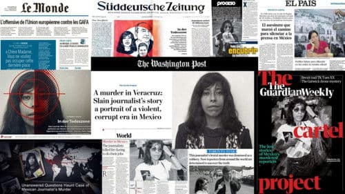 Projet Cartels : les multinationales de la drogue Bild 3