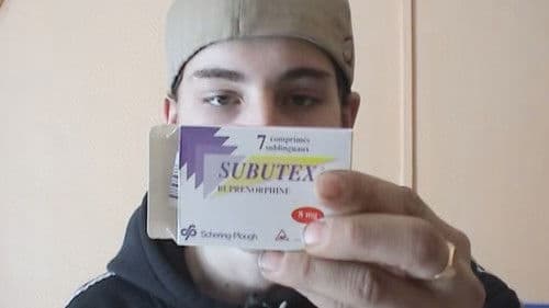 Reindeerspotting – pako Joulumaasta Bild 5