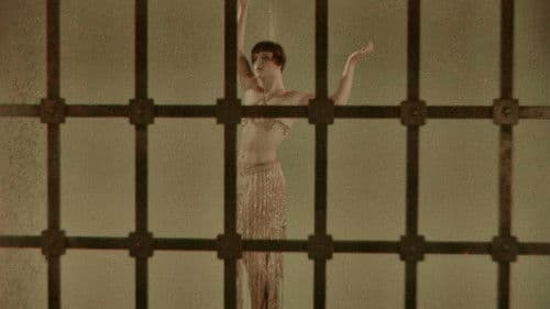 The American Venus Bild 2